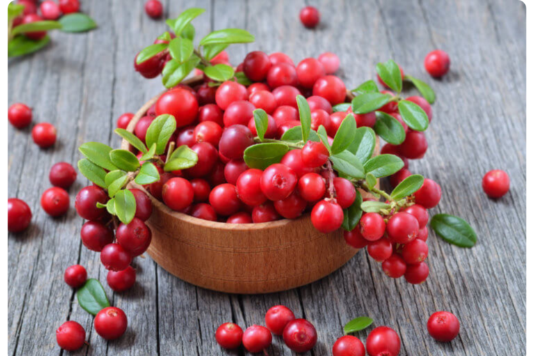 Cranberry Extract