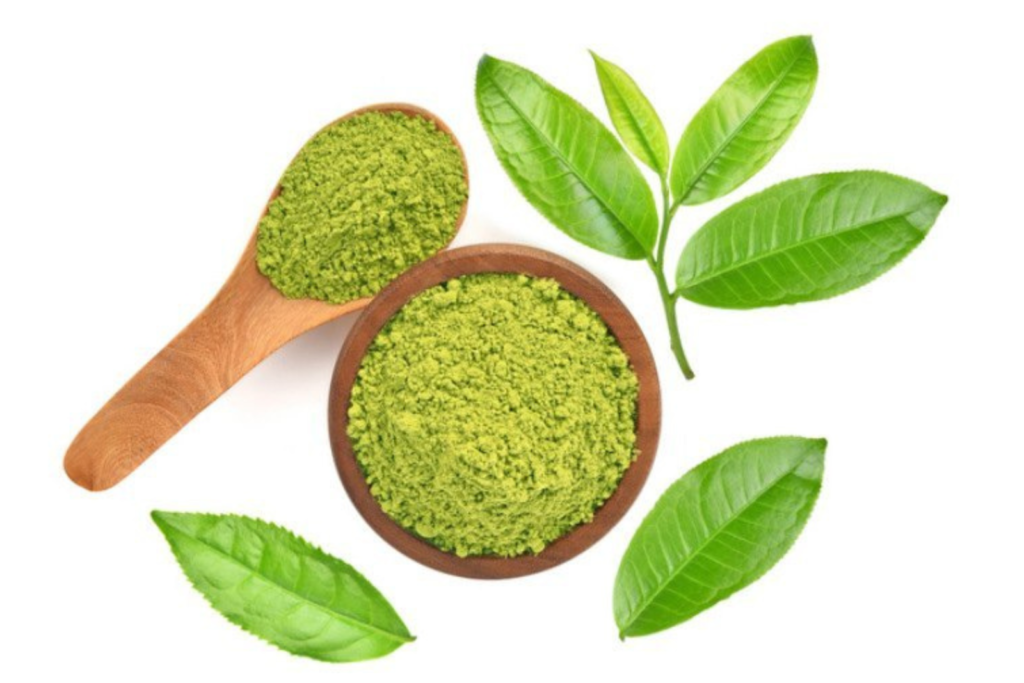 Green Tea Extract