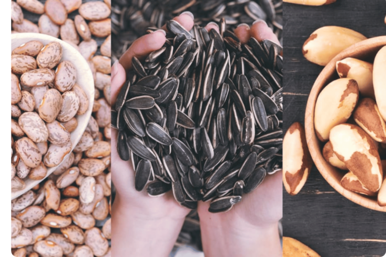 Food sources of selenium: Brazil nuts, sunflower seeds.