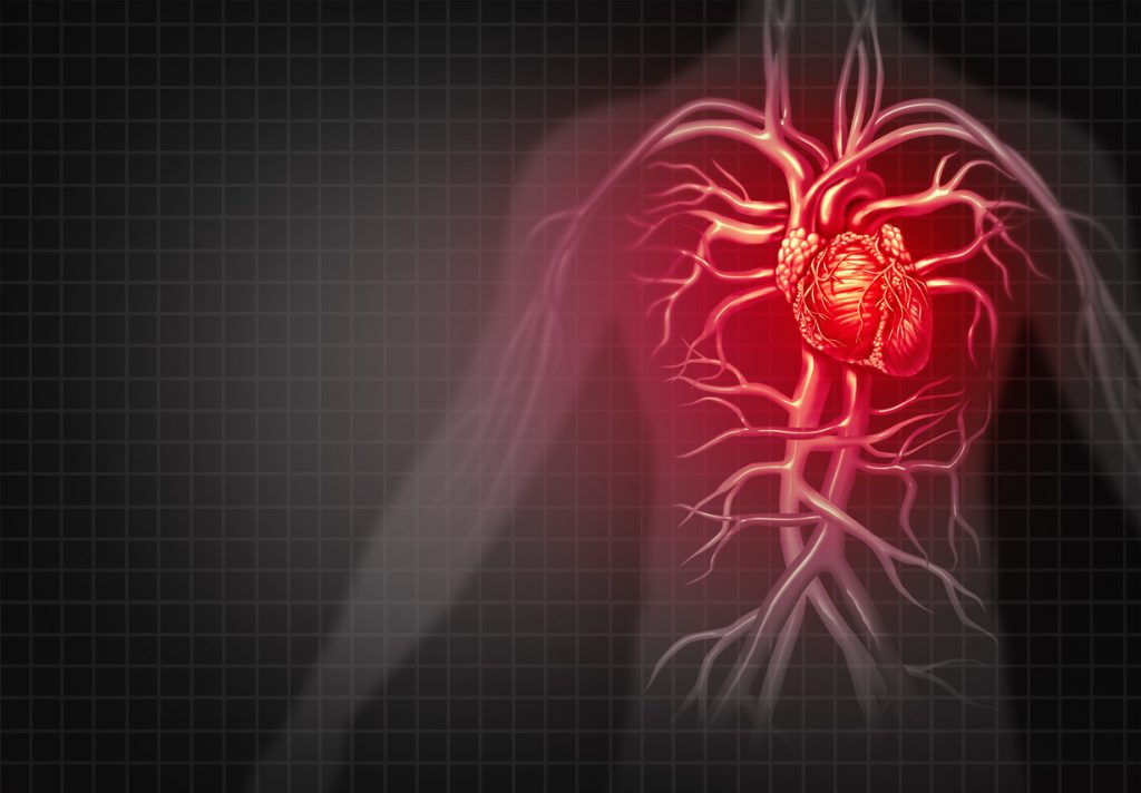 benefit of beta nicotinamide: heart health