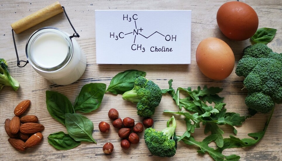 food sources of choline: spinach, eggs, mushroom, milk, almonds