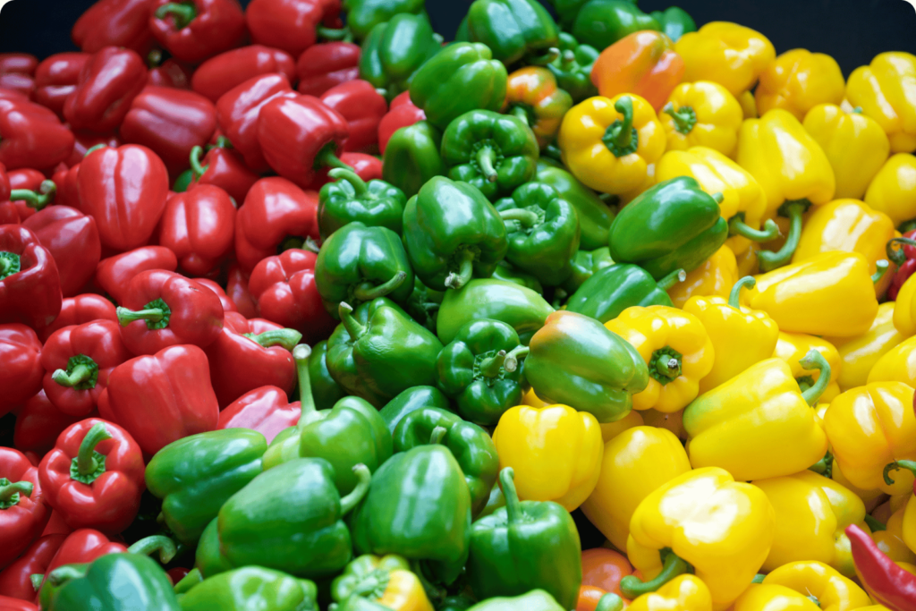 three colours of capsicum pepper: extract