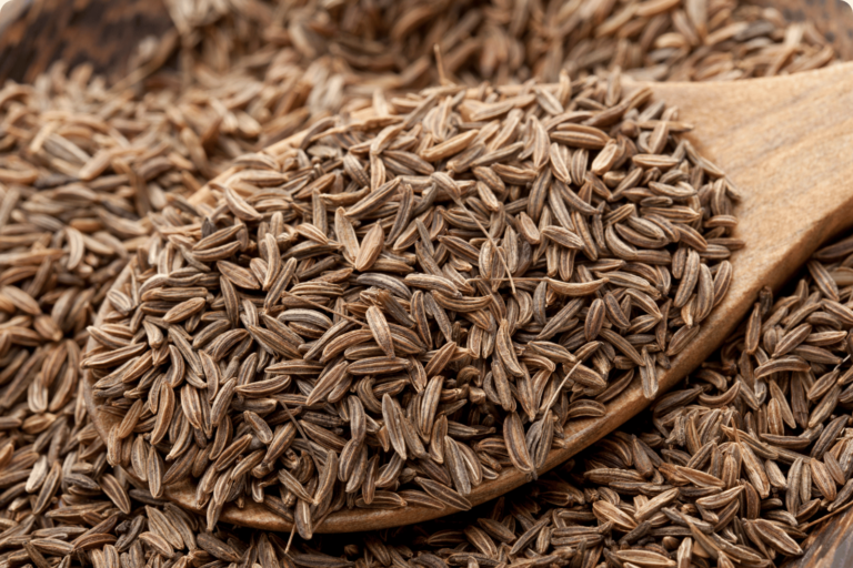 a photo depicting caraway seed